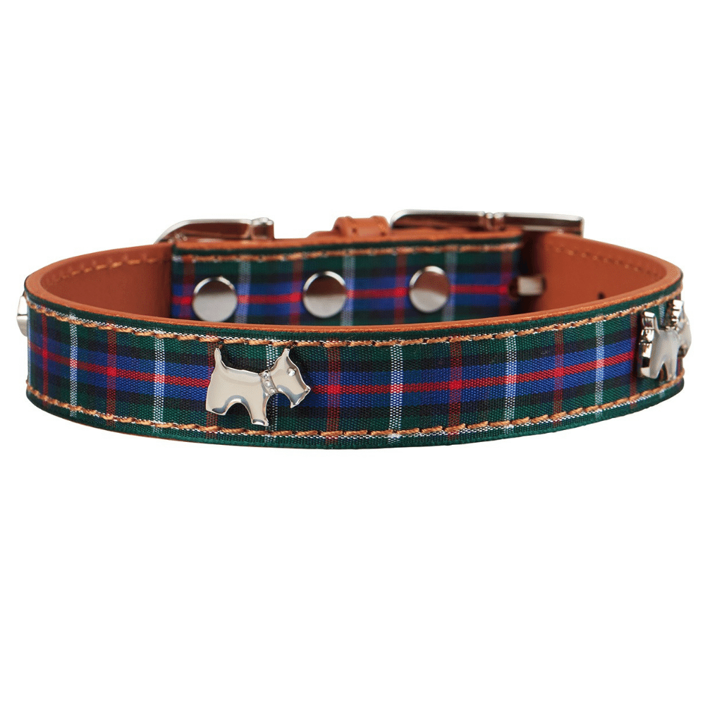 HAMISH MCBETH Highland Tartan Dog Collar