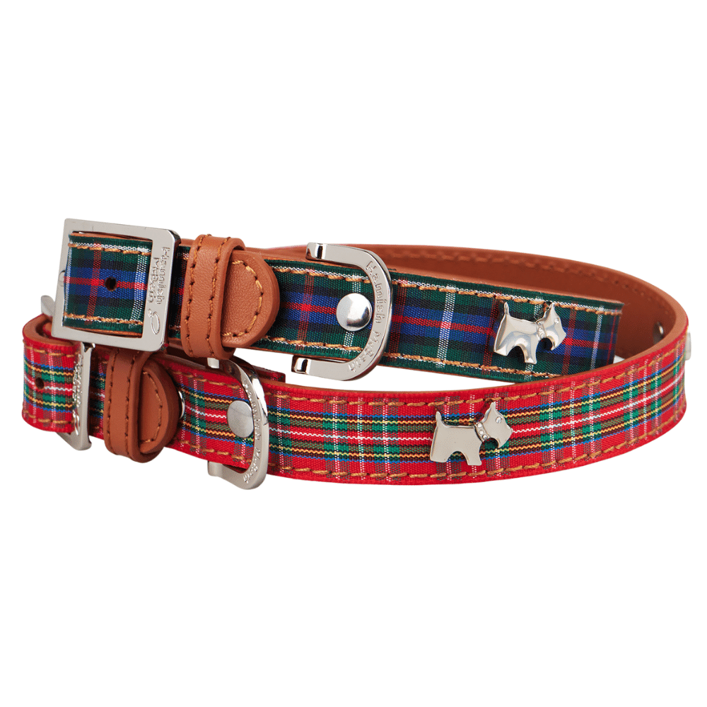 HAMISH MCBETH Highland Tartan Dog Collar