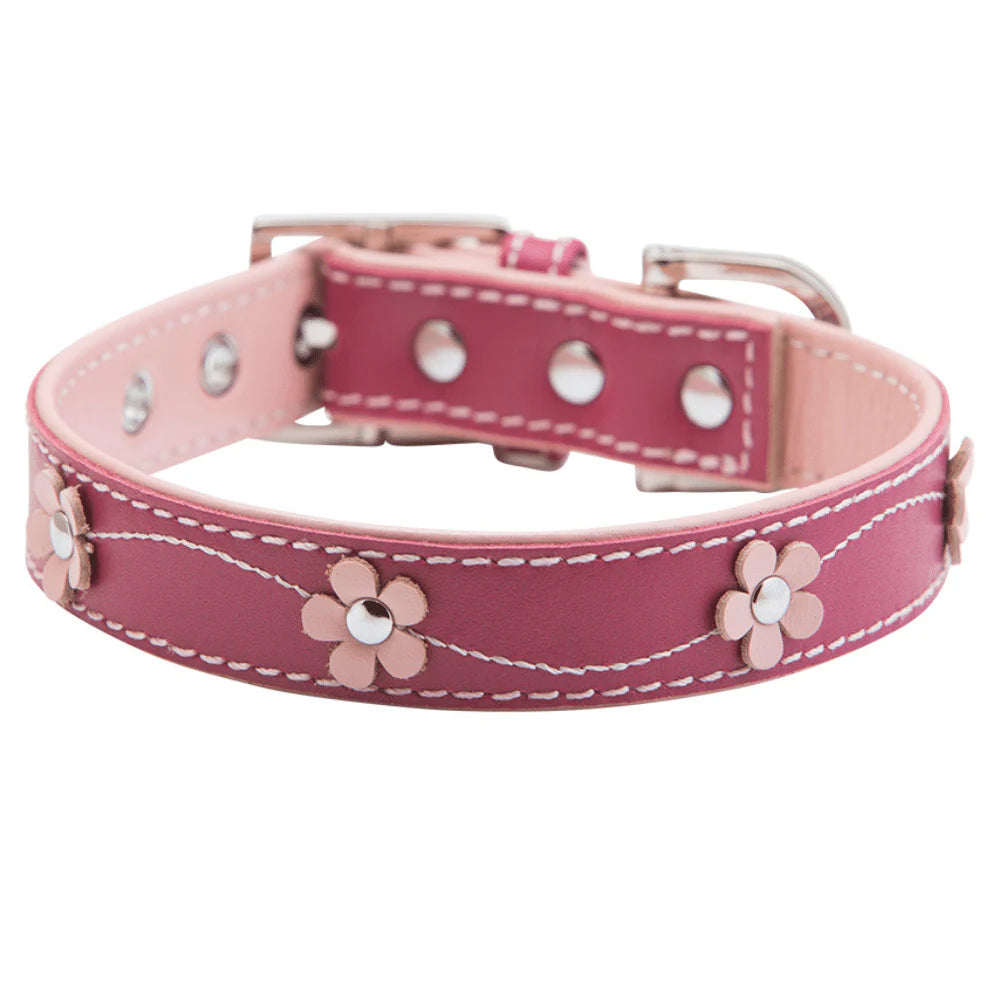 HAMISH MCBETH Lucy Leather Dog Collar