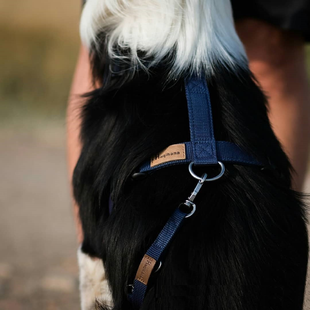 Haqihana Dog Leash 3m