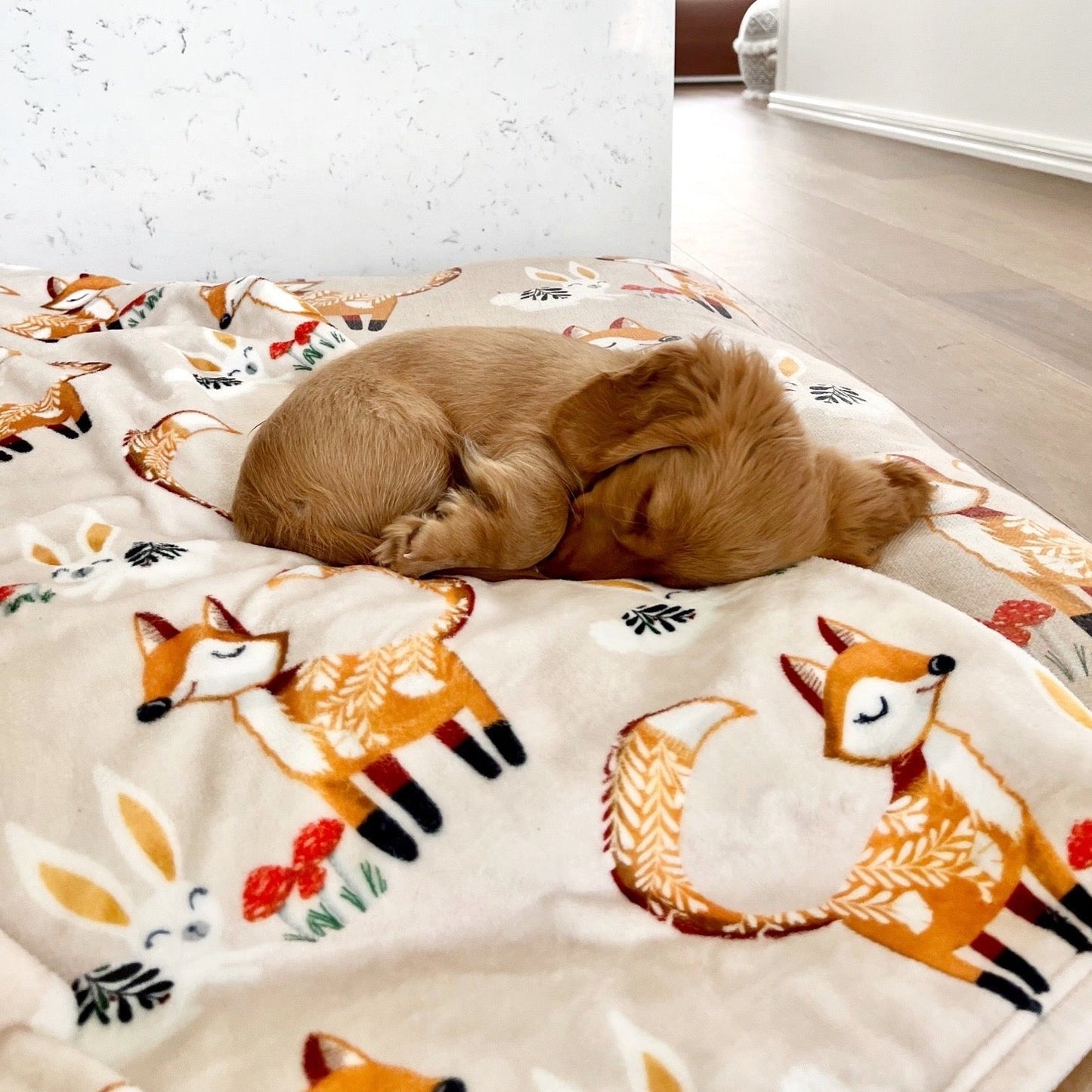 INDIEBOHO Designer Pet Blanket