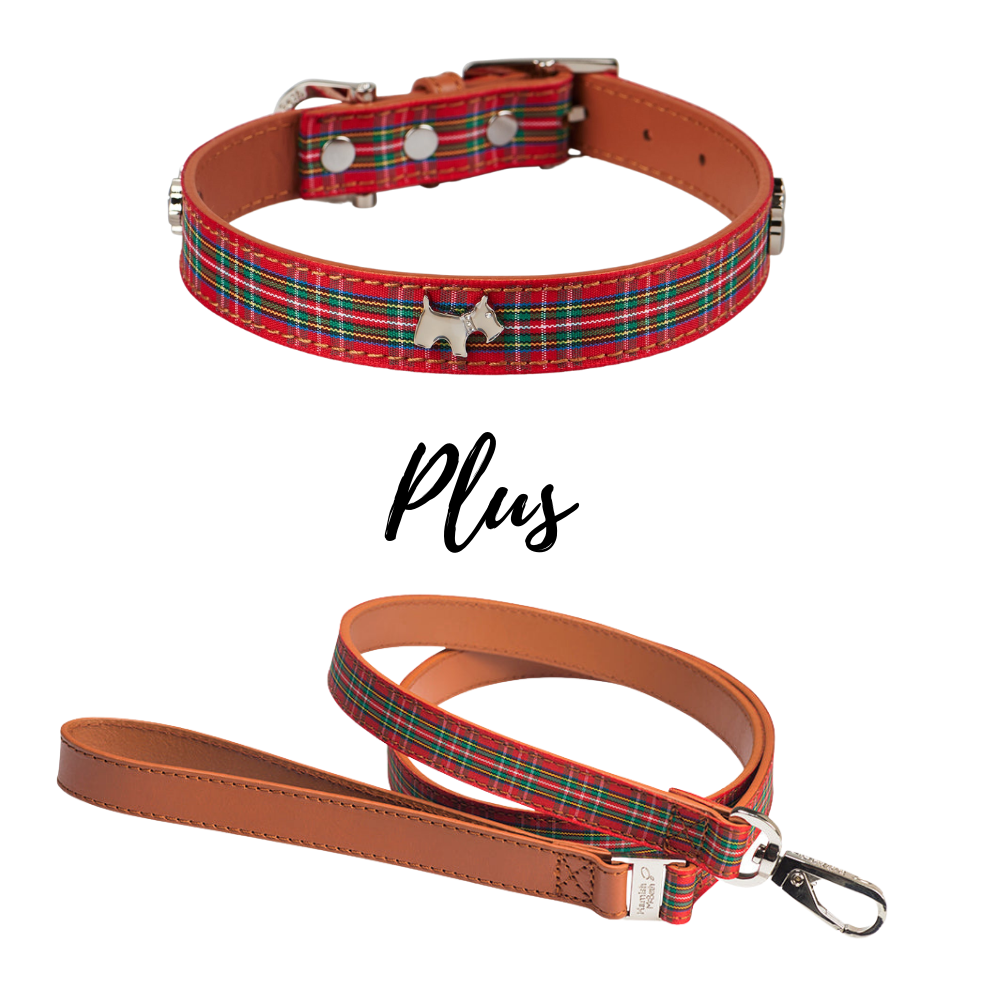 HAMISH MCBETH Highland Tartan Dog Collar