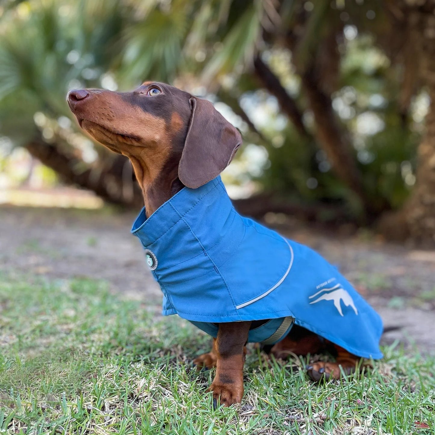 HUSKIMO Peak Raincoat for Dog