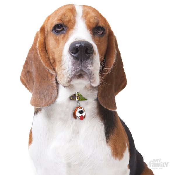 MyFamily Dog ID Tag / Beagle