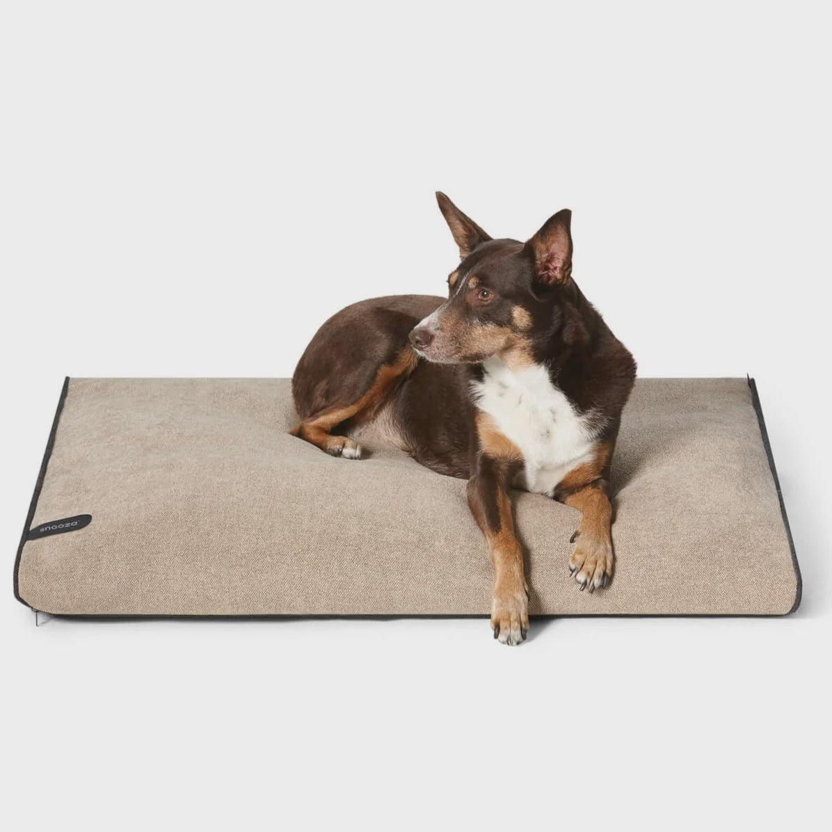 Snooza Modern Dog Daybed / Sand