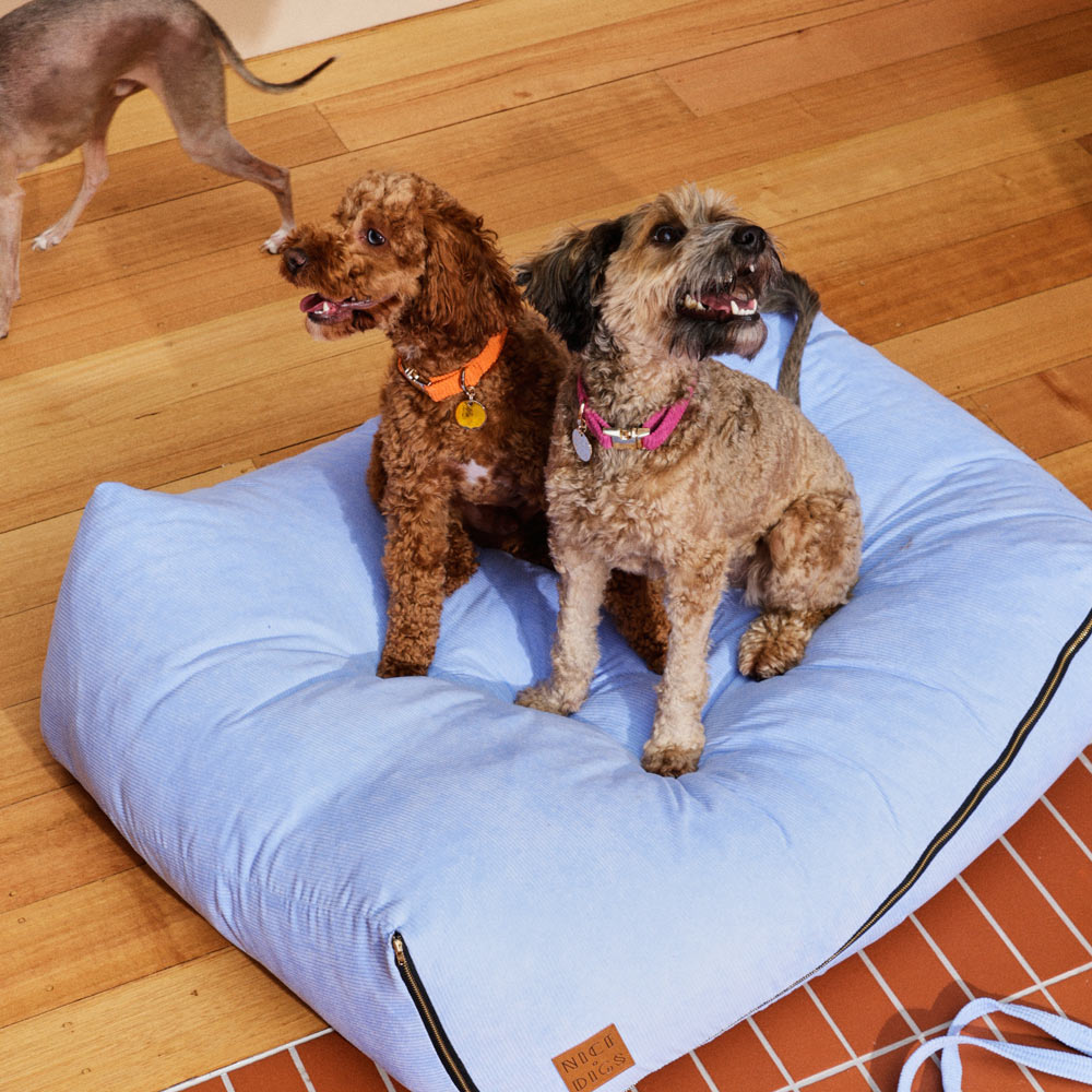 NICE DIGS - Cord Dog Collar