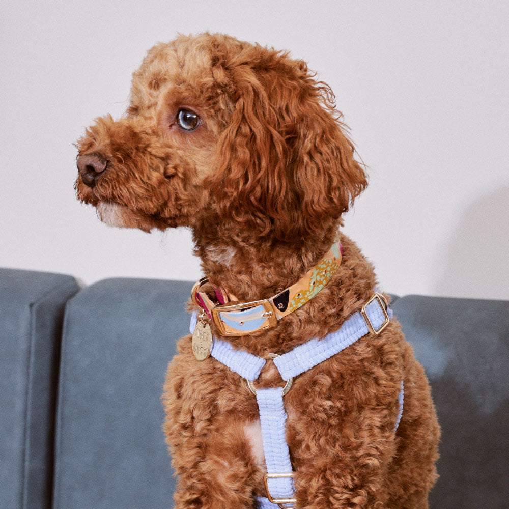 NICE DIGS Snakes & Ladders Leather Dog Collar