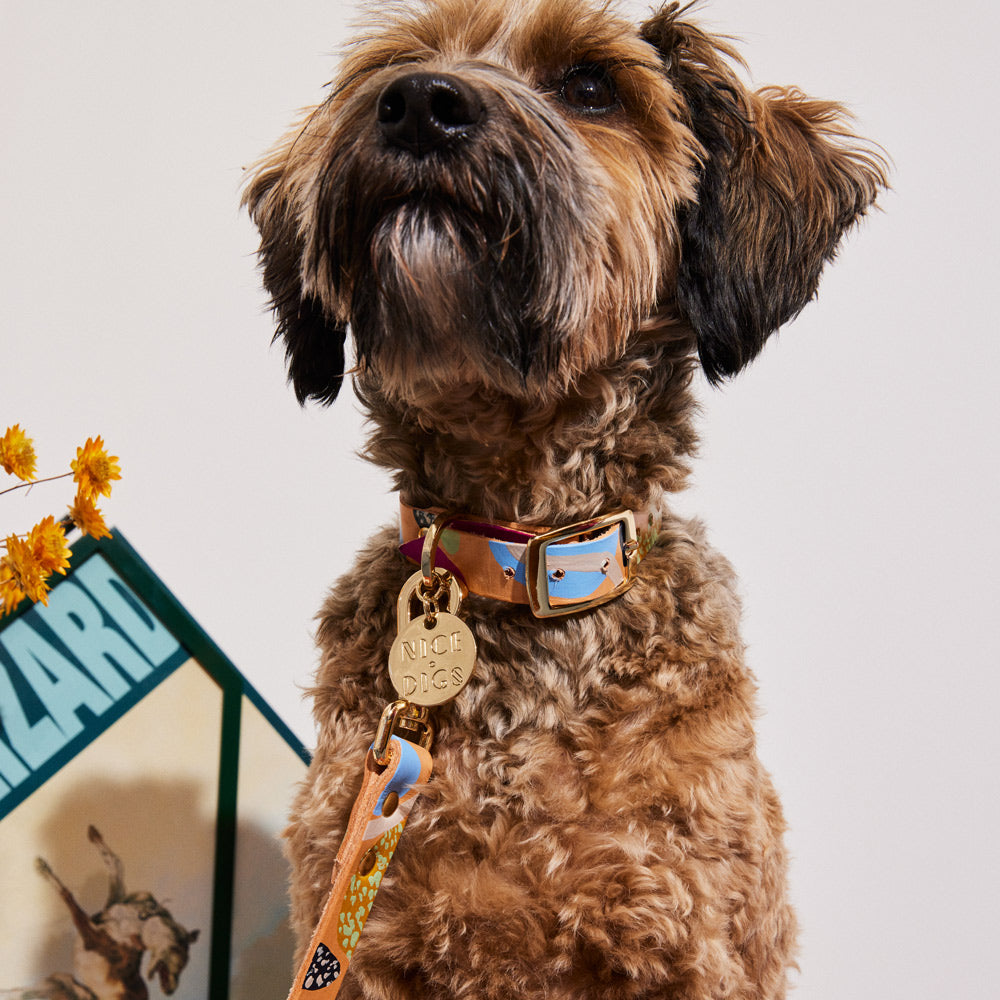 NICE DIGS Snakes & Ladders Leather Dog Collar
