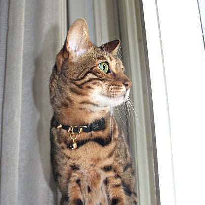NICE DIGS Leather Cat Collar