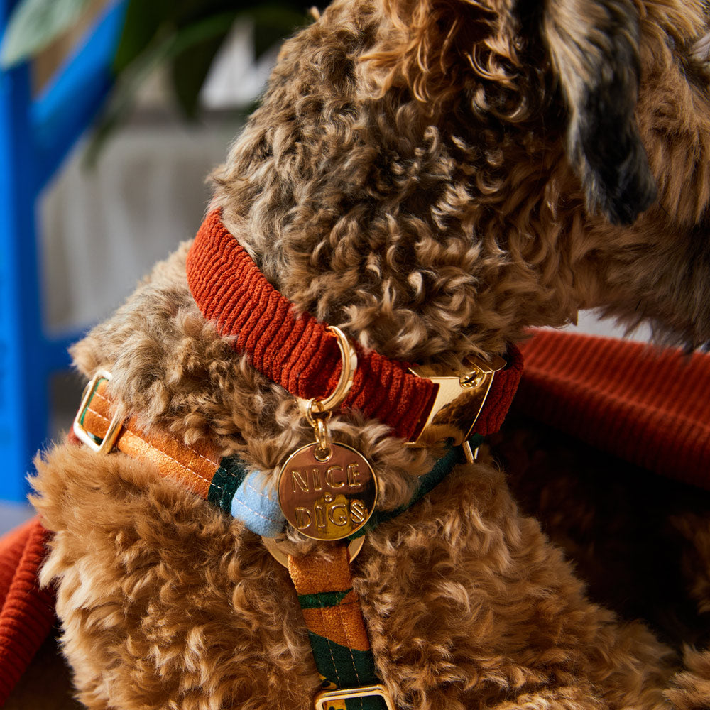 NICE DIGS - Cord Dog Collar
