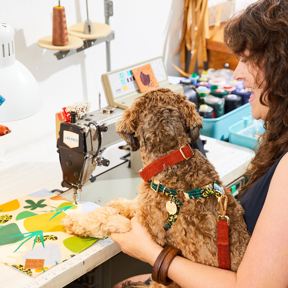 NICE DIGS - Cord Dog Collar