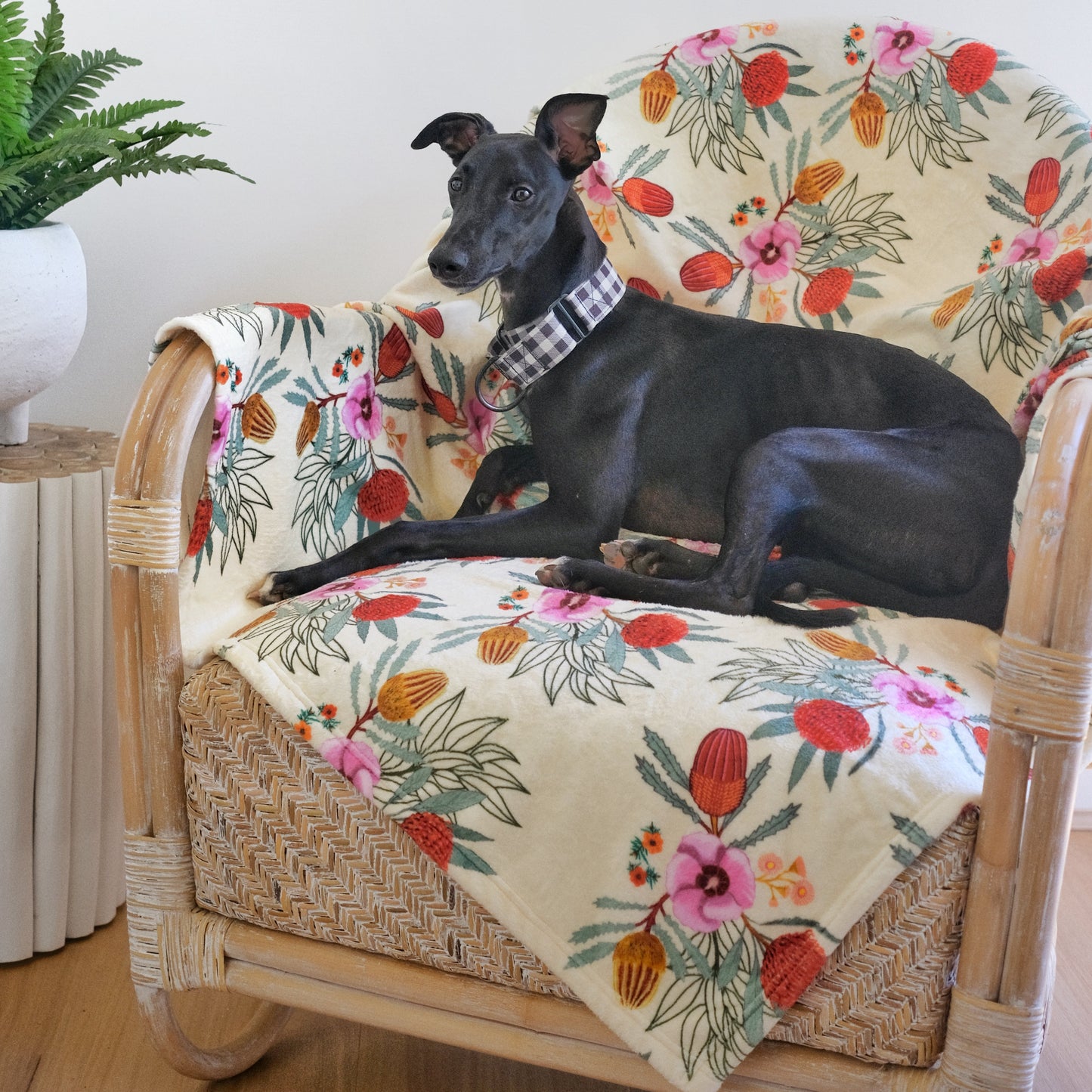 INDIEBOHO Designer Pet Blanket