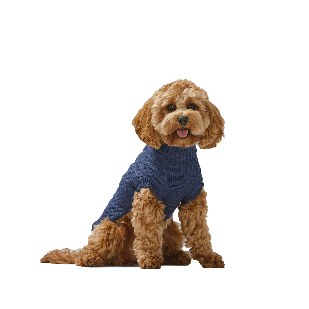 Polo Knit Navy