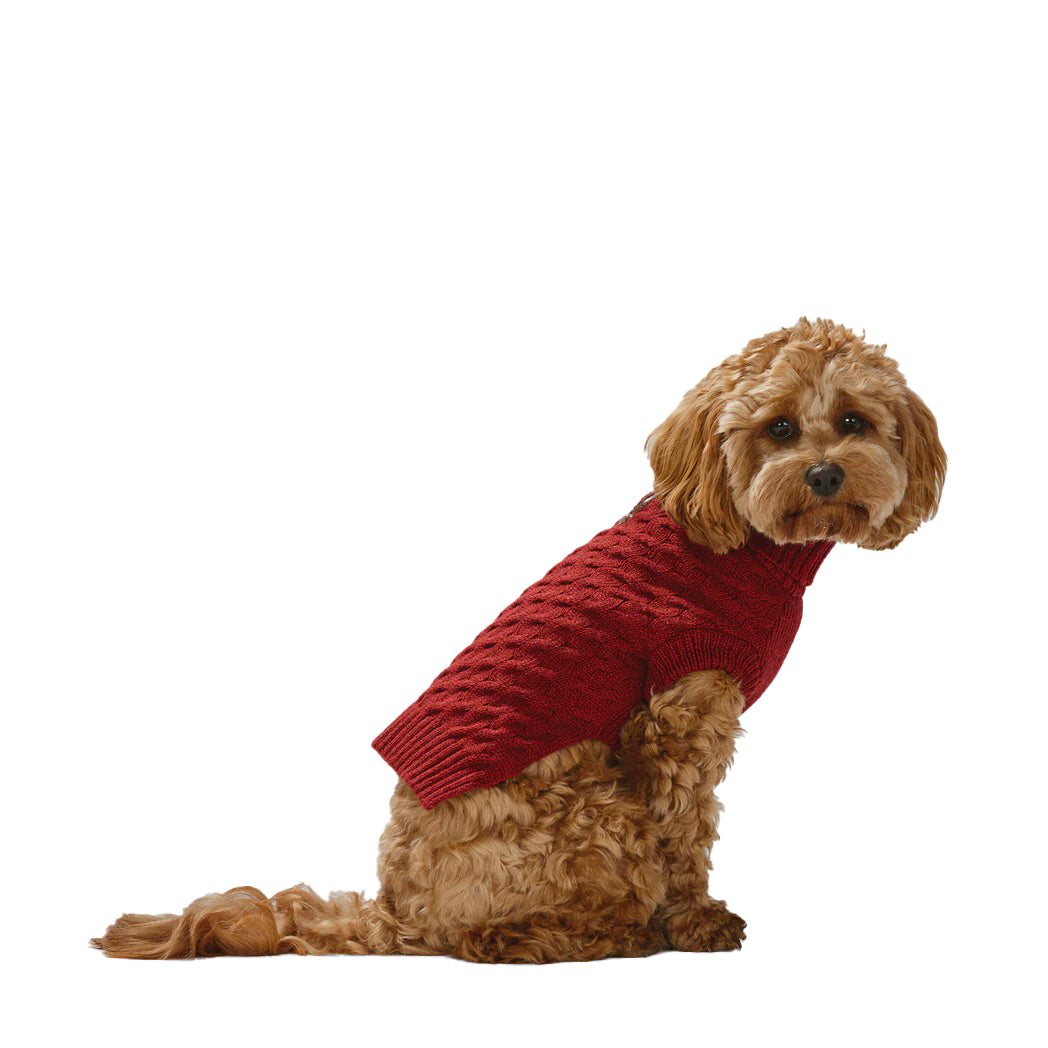 Polo Knit Red