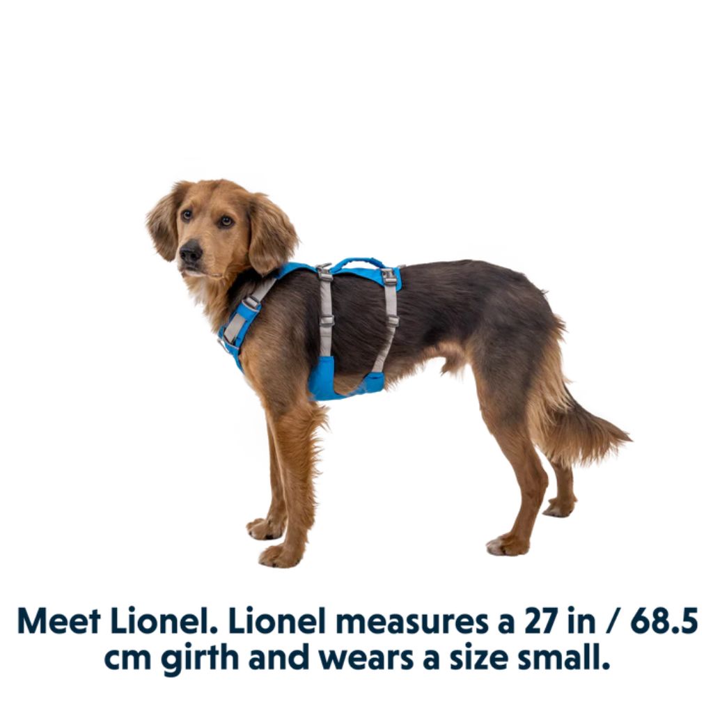 RUFFWEAR Flagline™ Dog Harness with Handle