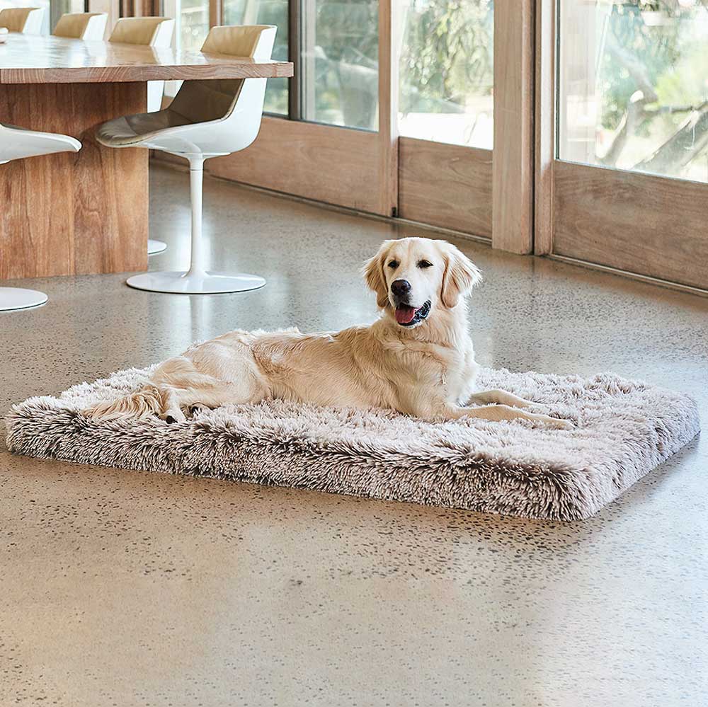 Snooza Superior Comfort Calming Ortho Bed / Mink