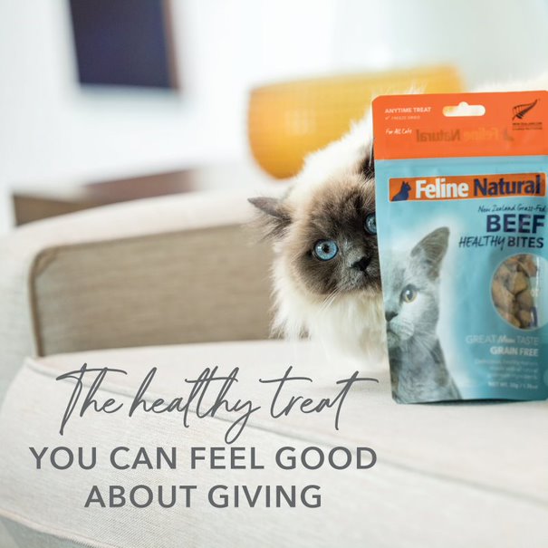 Feline Natural Healthy Bites Cat Treats