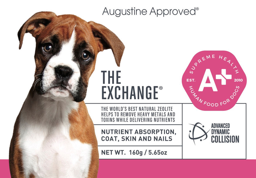 Augustine Approved The Exchange