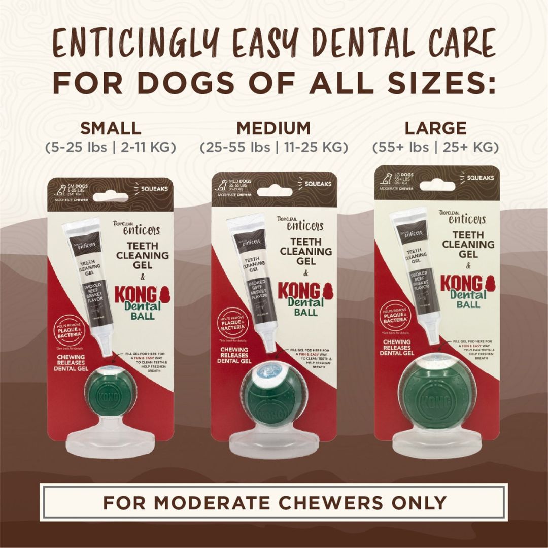 TropiClean Enticers Teeth Cleaning Gel + KONG Dental Ball