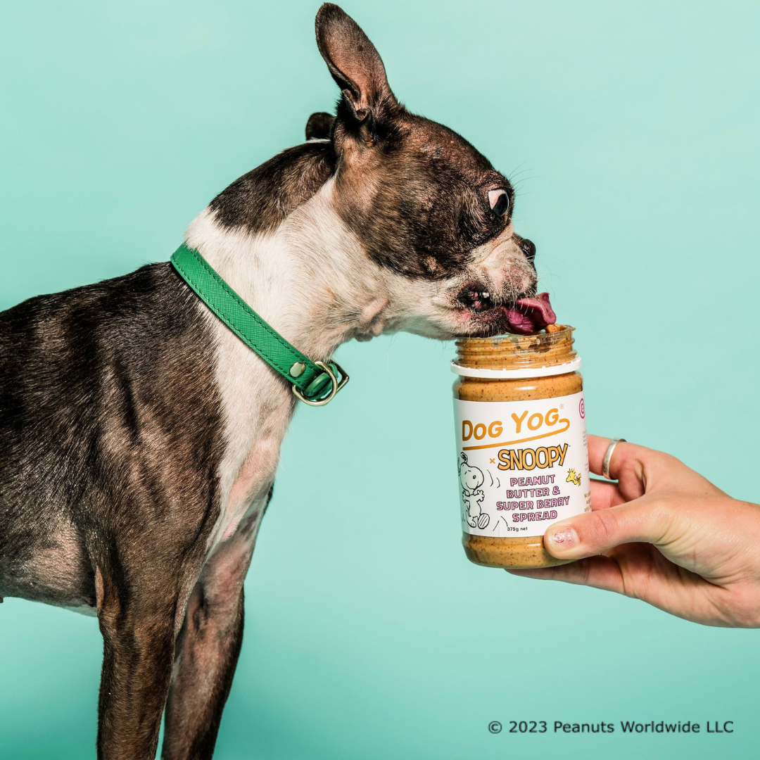 DOG YOG x SNOOPY Peanut Butter & Super Berry Spread 375g