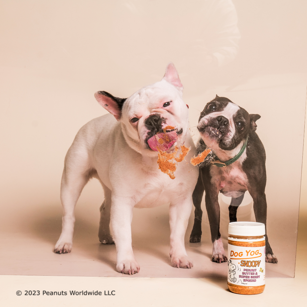 DOG YOG x SNOOPY Peanut Butter & Super Berry Spread 375g