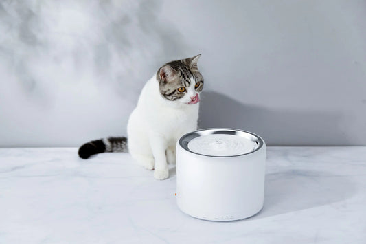 PETKIT EVERSWEET 3- Smart Pet Drinking Fountain – 1.35L