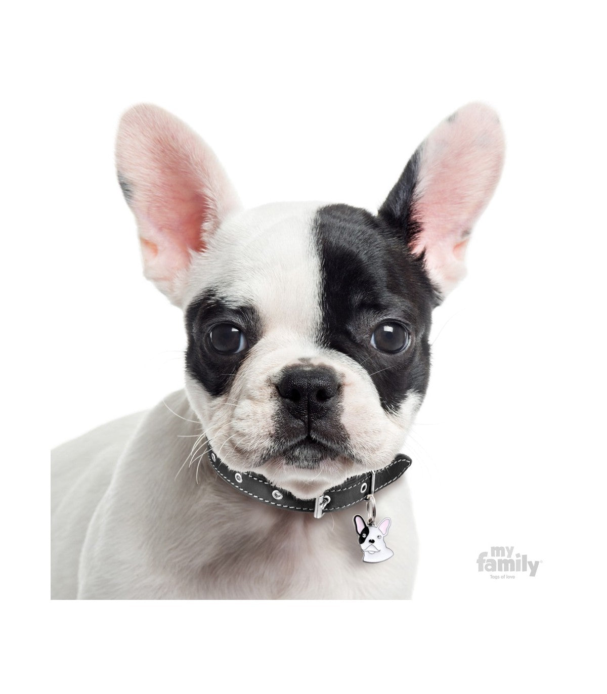 MyFamily Dog ID Tag / French Bulldog