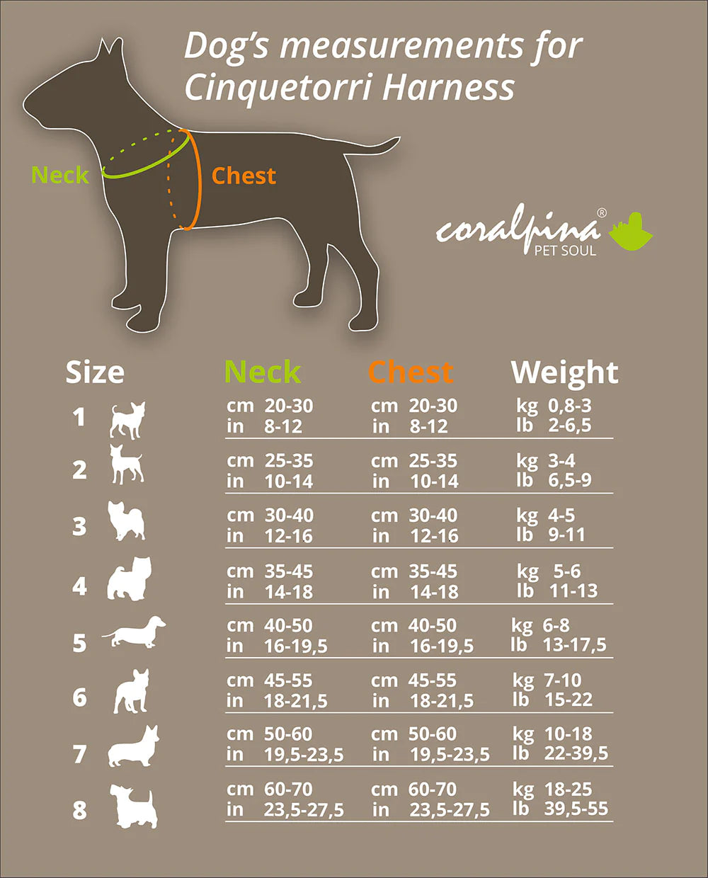 Coralpina Cinquetorri Harness / Light Gray