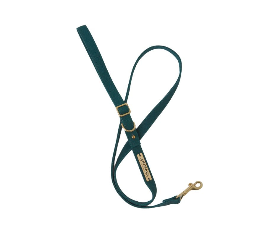Forest Green Easy Tie Flat Dog Leash