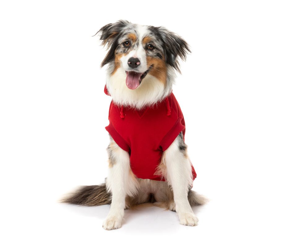 Yardsters Hoodie