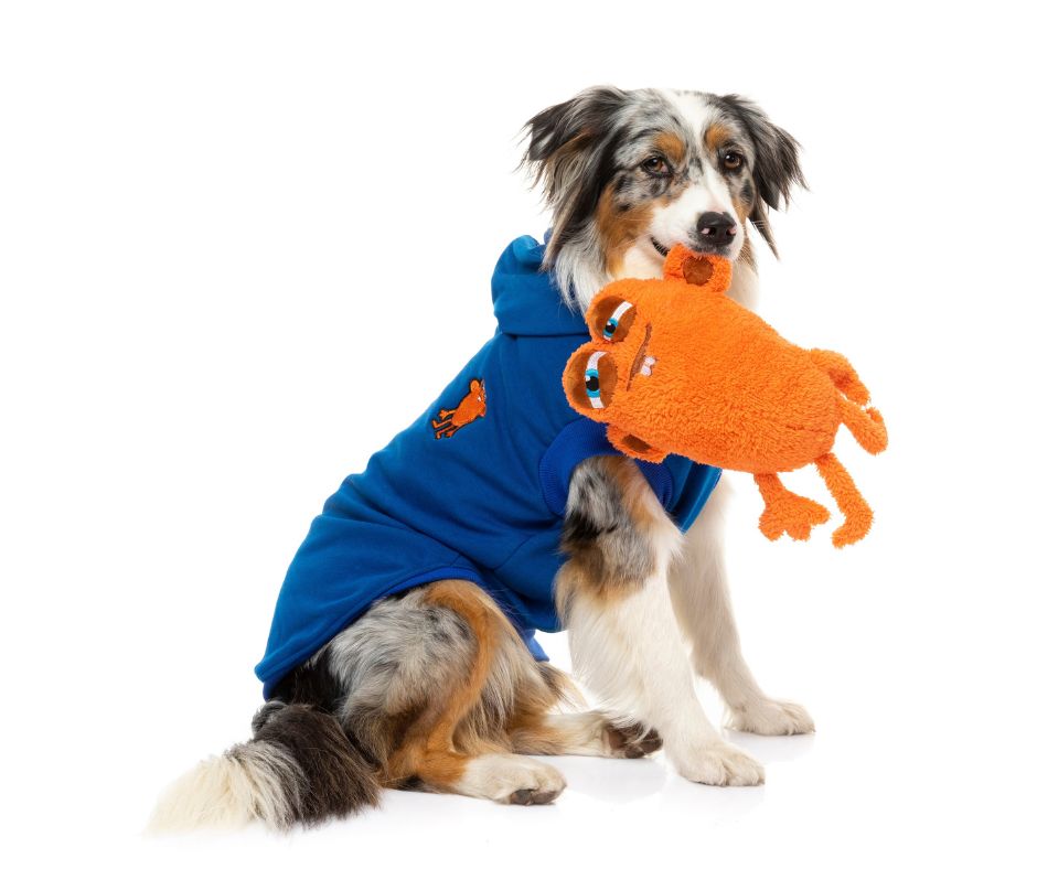 Yardsters Hoodie