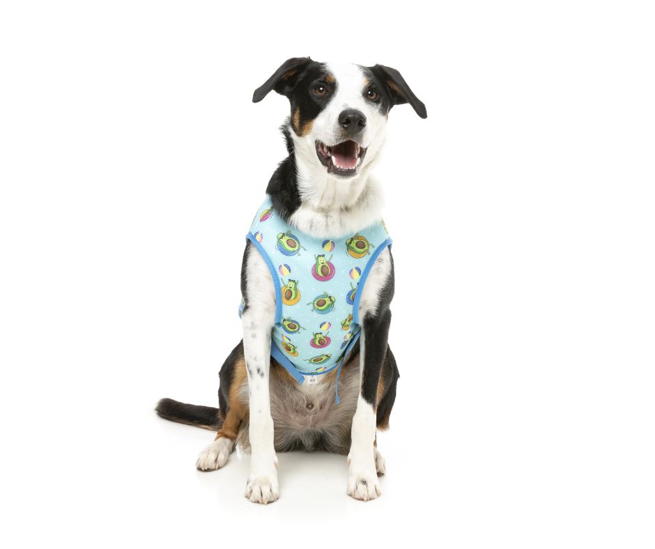 Fuzzyard Cooling Vest - Avo Great Day
