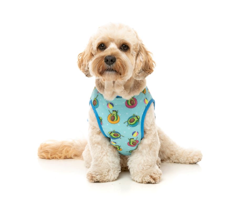 Fuzzyard Cooling Vest - Avo Great Day