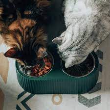 HONEYCARE Stainless Steel Double Pet Bowl / Dark Green