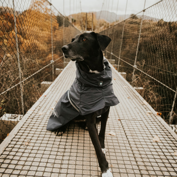 HUSKIMO Peak Raincoat for Dog
