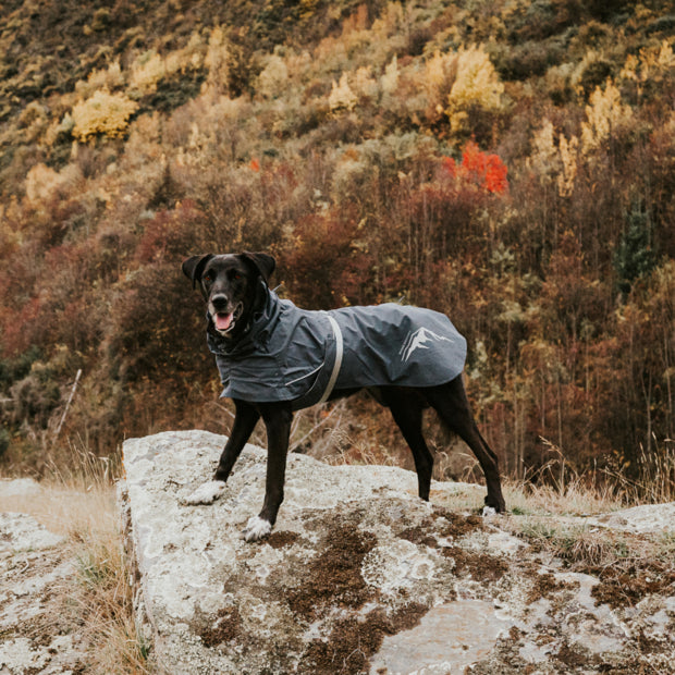 HUSKIMO Peak Raincoat for Dog