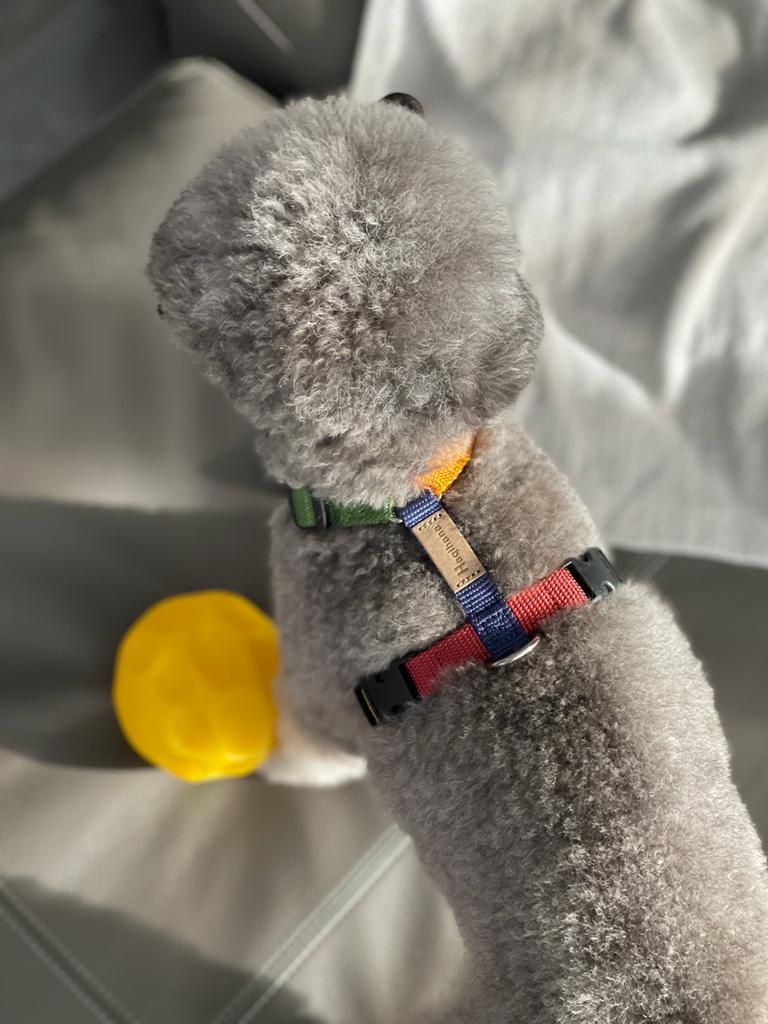 Haqihana Dog Harness