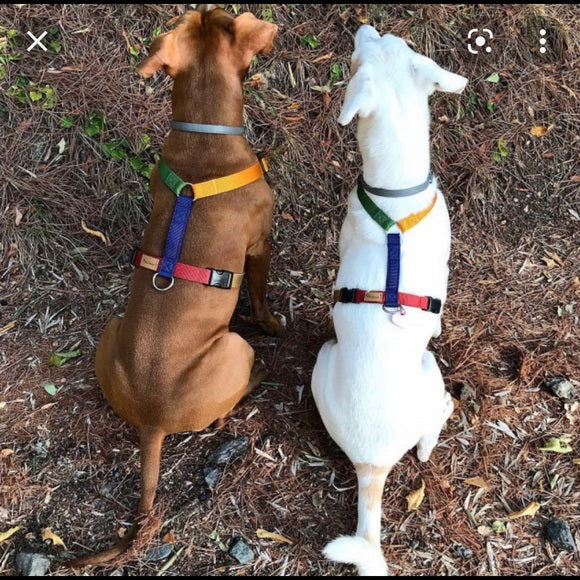 Haqihana Dog Harness