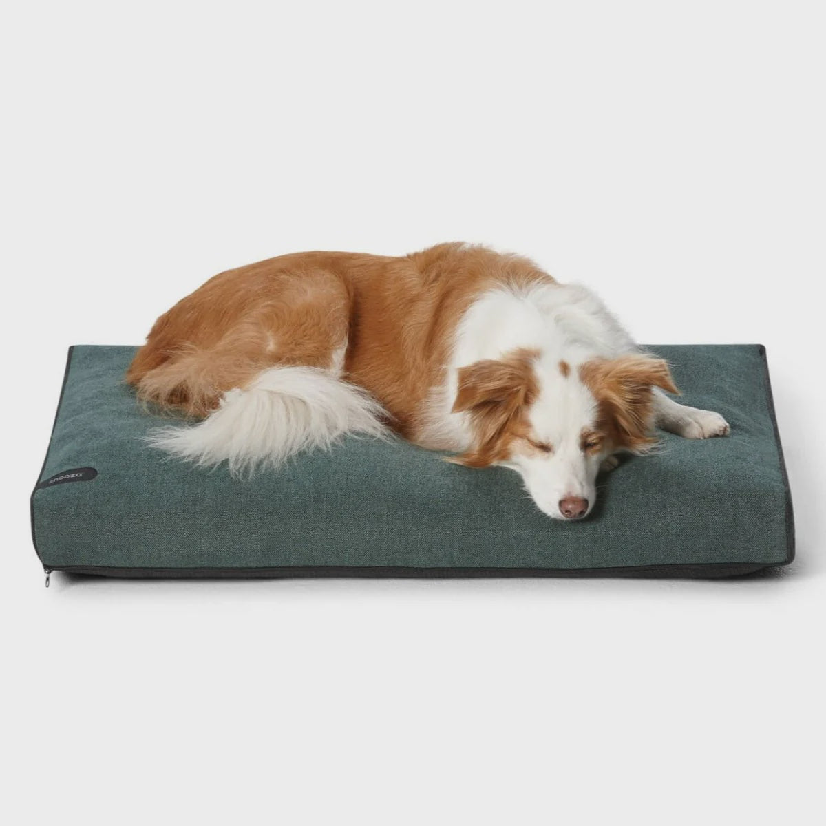 Snooza Modern Dog Daybed / Emerald Green