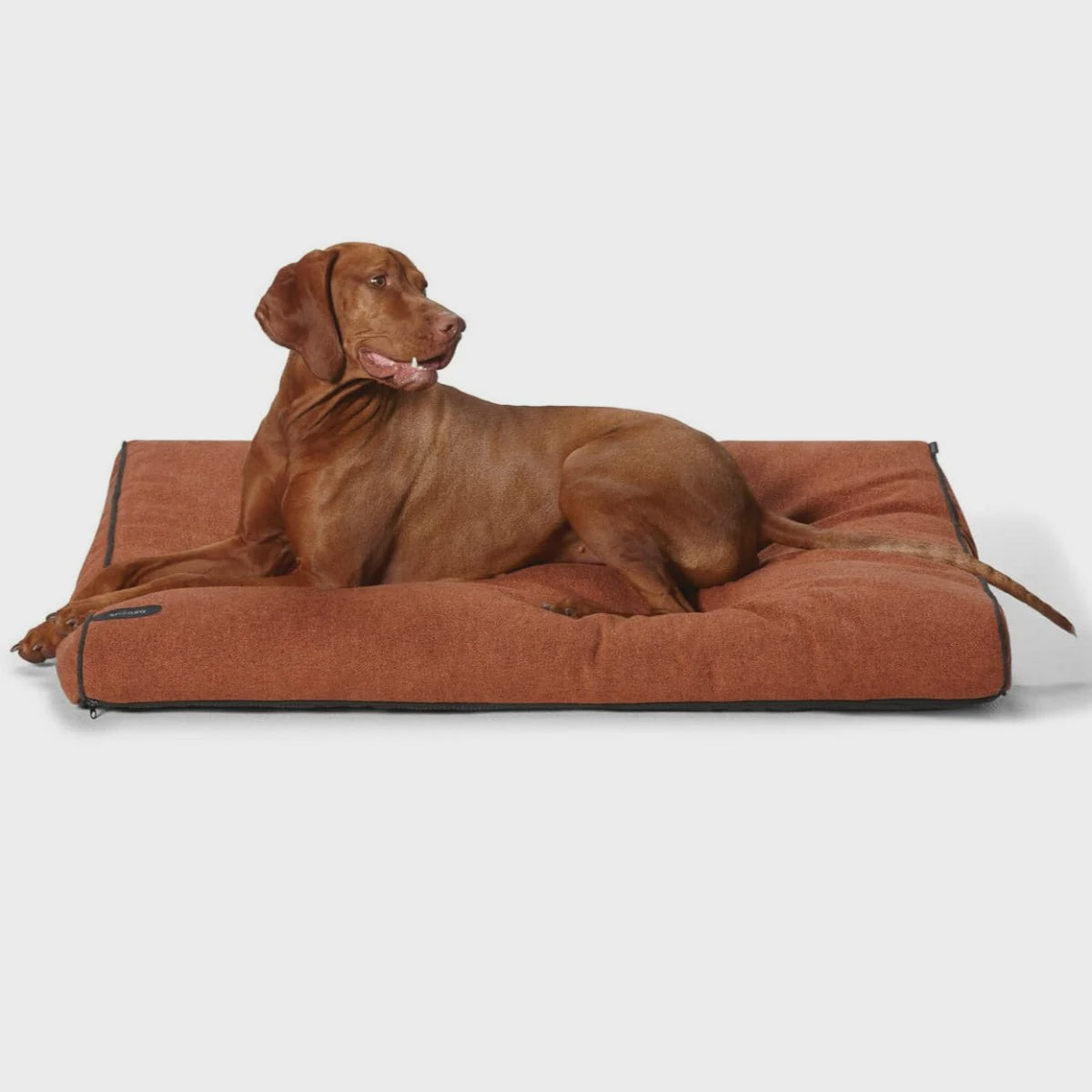 Snooza Modern Dog Daybed / Paprika