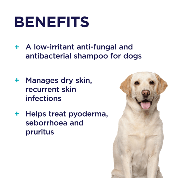 Paw MediDerm Shampoo