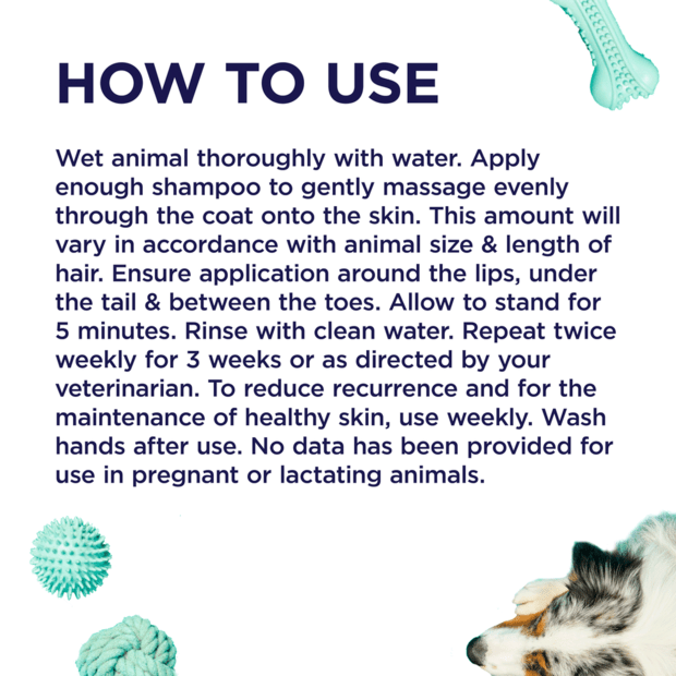 Paw MediDerm Shampoo