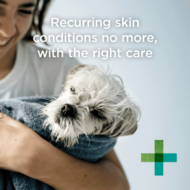 Paw MediDerm Shampoo