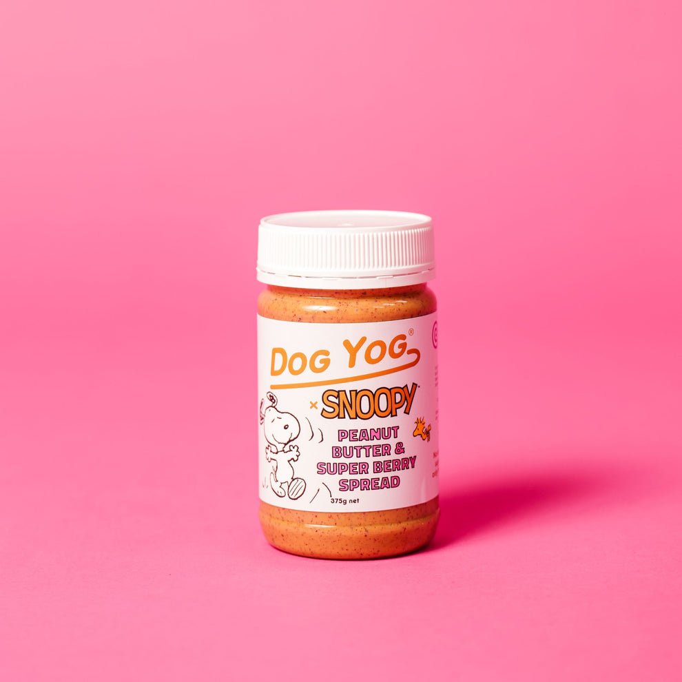 DOG YOG x SNOOPY Peanut Butter & Super Berry Spread 375g