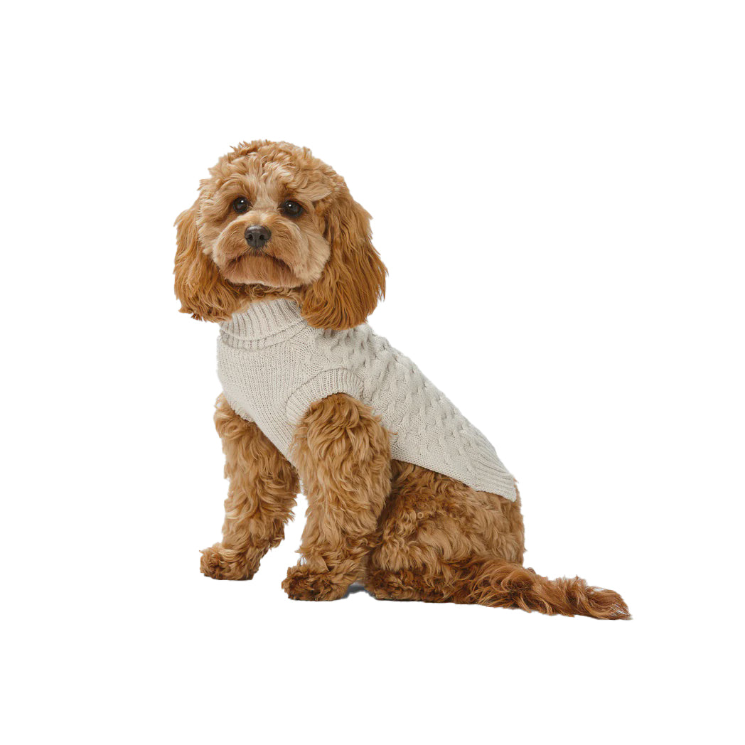 Polo Knit Oatmeal