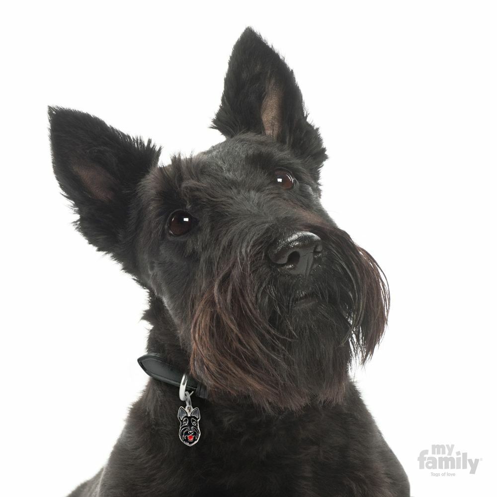 MyFamily Dog ID Tag / Schnauzer