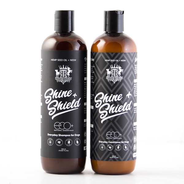 ROGUE ROYALTY Shine + Shield Everyday Conditioner for Dogs 500ml