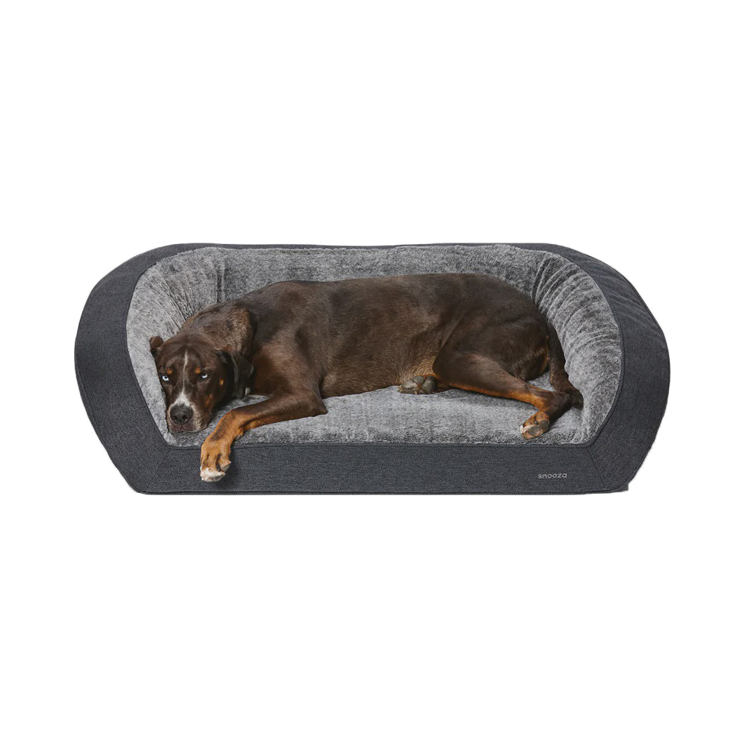Snooza-Ortho Sofa Chichilla- Large