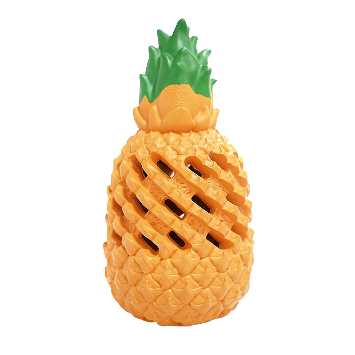 Dog sales pineapple toy