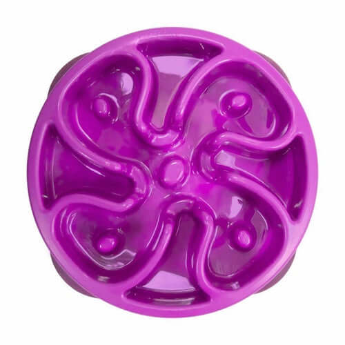 Fun Feeder Slow Bowl